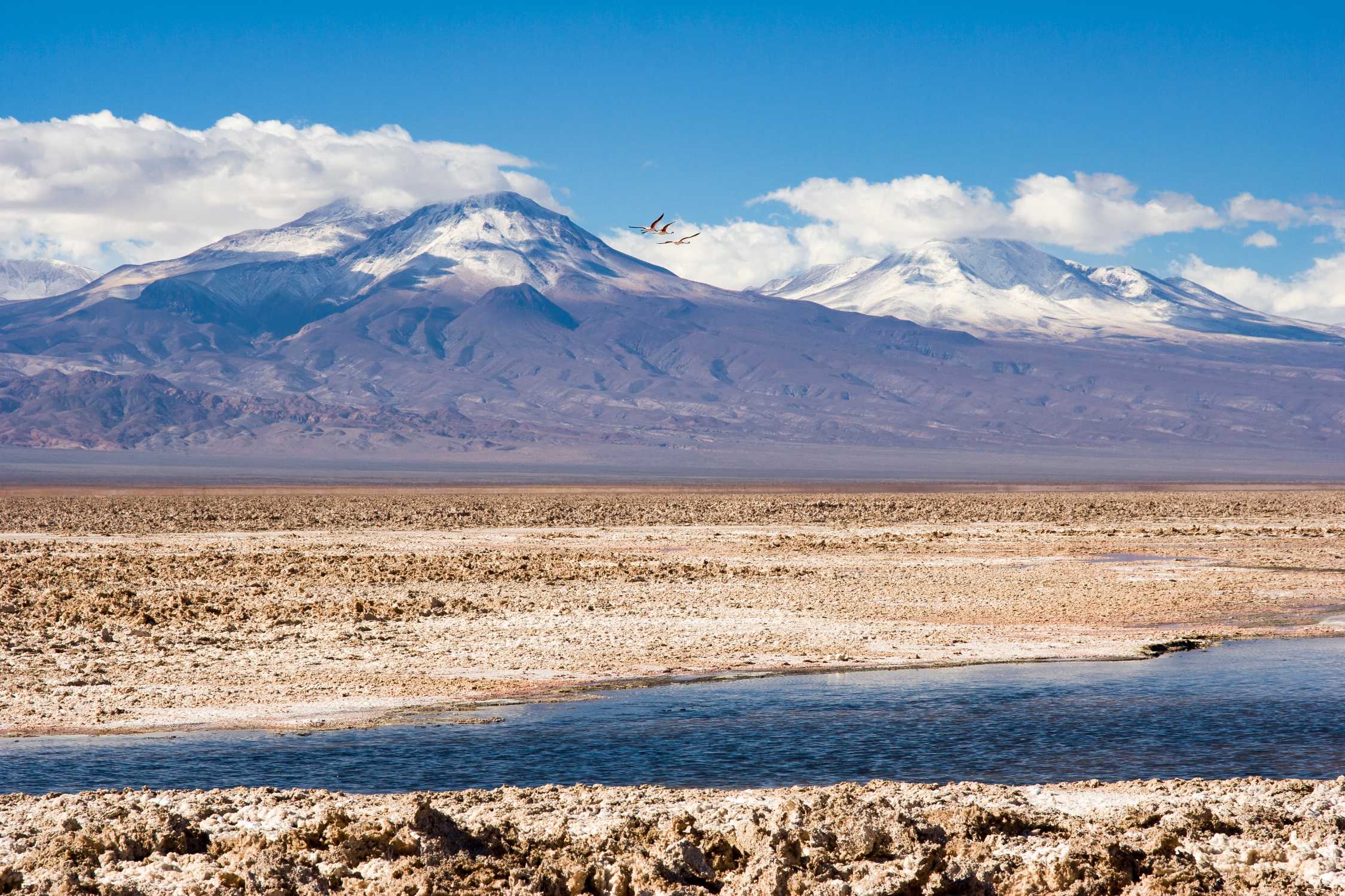 BMW participates in sustainable lithium mining project in Chile